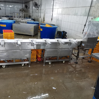 Qualité standard Poids de la bande transporteuse et trieuse pour filets de poisson traitement