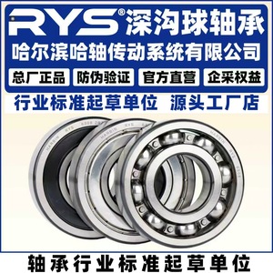Roulement à billes à gorge profonde RYS 6344 P5 métrique simple rangée 20 mm en acier chromé pour usine de fabrication - Product Image 4