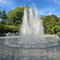 Chaohua, fuente de Lago Musical a gran escala, Centro Al aire libre, pantalla de agua de baile Circular de chorro alto, sistema de parque público decorativo