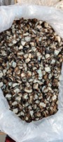 Tranches de châtaignier d'eau séchées en vrac, fraîches, arôme de canne sucrée, riches en fibres, antioxydants, soulagent la soif de chaleur, tisane, pack personnalisé
