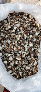 Tranches de châtaignier d'eau séchées en vrac, fraîches, arôme de canne sucrée, riches en fibres, antioxydants, soulagent la soif de chaleur, tisane, pack personnalisé - Product Image 5