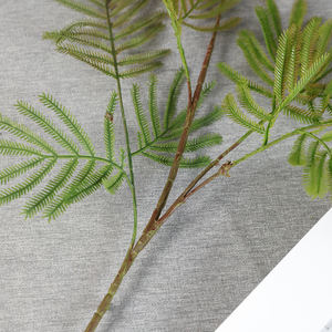 Vente en gros de plantes artificielles <span class=keywords><strong>mimosa</strong></span> en matériaux doux Feuilles de <span class=keywords><strong>mimosa</strong></span> au toucher réel Feuilles de <span class=keywords><strong>mimosa</strong></span> au toucher quantité minimale de commande bas Plantes artificielles - Product Image 4