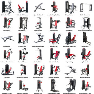 Máquina de Ejercicio para Gimnasio, Equipo de Fitness, PEARL <span class=keywords><strong>DELT</strong></span>/PEC FLY - Product Image 6
