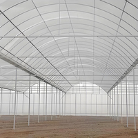 Serre agricole en polycarbonate multi-spans bon marché pour la culture de fraises