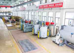 Caldaia a Vapore Industriale Automatica LSS0.5-0.7-Y.Q, Design Verticale a Tubi d'Acqua, Gas Naturale/<span class=keywords><strong>GPL</strong></span>/Diesel Leggero, Nuova Tecnologia a Basso Consumo - Product Image 6