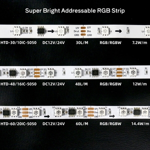 Tira de LED Direccionable Wifi Alexa de 5m, Tipo S, 5050 SMD WS2811 RGBW, 12V, Impermeable, Venta al Por Mayor - Product Image 2