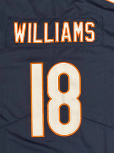 Nuova Maglia da Calcio 2026 - 18 Caleb Williams, Rome Odunze, Colston Loveland, DJ Moore, Burden III - Jersey Americana Cucita - Product Image 2