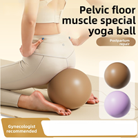 Mini ballon de yoga anti-éclatement 25 cm, petit ballon de Pilates pour l'entraînement du tronc, les exercices du plancher pelvien et la physiothérapie post-partum