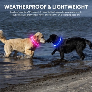Collar Luminoso LED Cortable para Mascotas, Luz Nocturna Recargable por USB, Resistente al Agua, Collar de Seguridad Intermitente para Perros y Gatos - Product Image 4