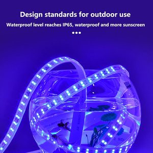 Striscia <span class=keywords><strong>LED</strong></span> ad Alta Tensione per Esterni, Luce al <span class=keywords><strong>Neon</strong></span> Flessibile Cambiacolore per Atmosfera Festiva - Product Image 6