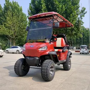 2023 desain baru 2 tempat duduk listrik Golf Cart kustom 48V Golf Cart aksesoris klub mobil