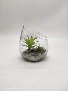Recyceltes klares Glas schräg geschnittene Glaster rarium schalen Sukkulenten vasen behälter - Product Image 2