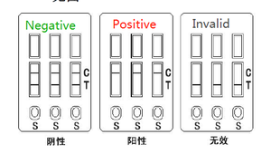 3in1 Clenbuterol/Ractopamine/Salbutamol Snelle Testkit Urinemonster Clen Rac Sal Snelle Testkit - Product Image 5