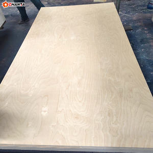 Diseño moderno <span class=keywords><strong>de</strong></span> <span class=keywords><strong>segunda</strong></span> <span class=keywords><strong>mano</strong></span> Okoume/Álamo/abedul/Pino 3/4 CDX madera contrachapada 4x8 E0 emisión <span class=keywords><strong>de</strong></span> formaldehído 1 año para encofrado <span class=keywords><strong>de</strong></span> hormigón - Product Image 3