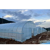 Serre hydroponique commerciale multi-voûtes et mono-voûtes de petite taille avec système de refroidissement automatique pour l'agriculture et le jardinage