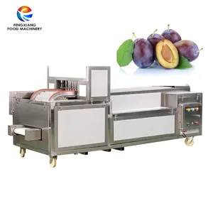 CL-I Industry Automatic plum cherry olive seed removing pitter pitting machine