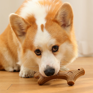 Kemik şeklinde dayanıklı çam ahşap Pet köpek çiğnemek oyuncak eğlence gevşeme ve diş temizleme için çevre dostu interaktif oyuncak - Product Image 3