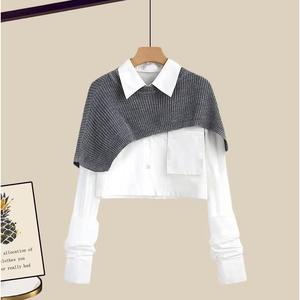 Ensemble pull tricoté Dalang pour femme, jupe taille haute ample avec haut chemise, mode hiver, anti-boulochage, épaisseur moyenne - Product Image 2