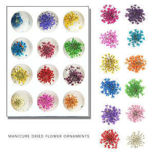 12 couleurs bricolage japonais <span class=keywords><strong>Nail</strong></span> <span class=keywords><strong>Art</strong></span> 3D plein ciel étoile conception plante naturelle inspirée fleur séchée décoration des ongles Style français - Product Image 4