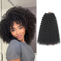 Extensions de cheveux humains au crochet à nœuds invisibles, bouclées crépues, tresses pré-séparées sans nœuds, cheveux pour tressage bohème, fournisseur