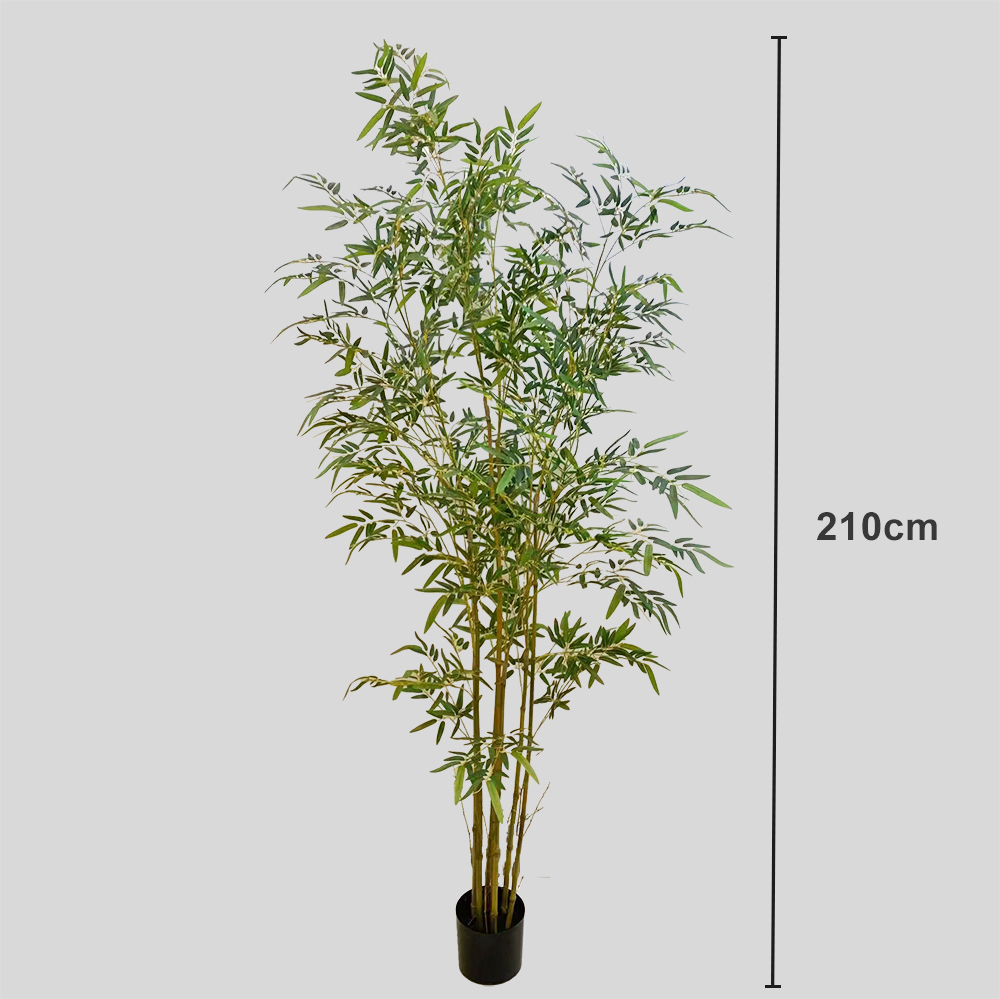 golden-210cm