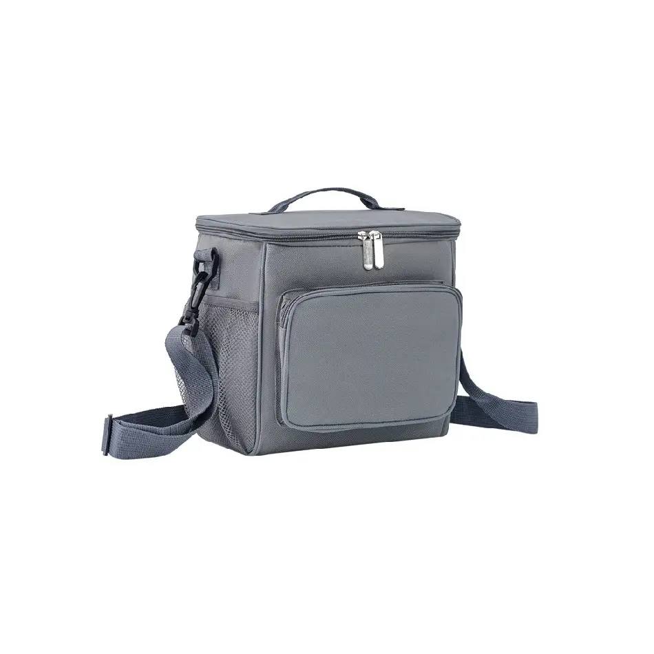 Campione gratuito Oxford Cloth Portable Lunch Box Thermal Outdoor Picnic Lunch Bag borsa termica per la conservazione della scatola del ghiaccio