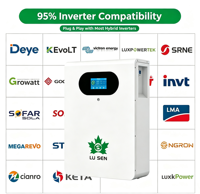 Batterie au lithium murale à prix d'usine 52,1 V 300 Ah 10 kWh LiFePO4, batterie à décharge profonde pour camping-car et marine