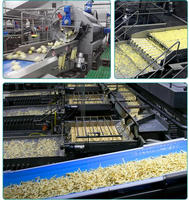 Volledig automatische elektrische verwarmingslijn voor continue productie van frieten, 1000 kg/uur, met mixer en friteuse, roestvrij staal, fabrieks prijs