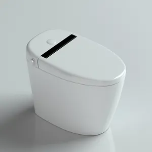 Cheap sanitary ware bathroom washroom s trap one piece ceramic wc toilet bowl non electric bidet toilet with bidet function