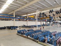 Palans électriques à chaîne de type européen, robustes, avec capacité de travail et hauteur de levage personnalisées pour équipement de levage industriel