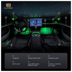 Luz Ambiental Sinfónica para Auto, Modelo 3 y Modelo Y, Juego de Luces LED Interiores con Molde 1 a 1, Gran Venta - Product Image 5
