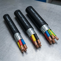 Câble d'alimentation blindé en acier PrimePro YJV22 STA 0,6/1 kV à âme en cuivre XLPE pour enterrage direct souterrain destiné aux projets d'infrastructure