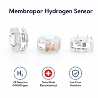 Module de capteur de gaz H2 à conception personnalisée, cellule à combustible calibrée en usine, détection de sécurité industrielle pour l'énergie hydrogène