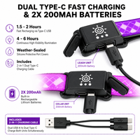 Ensemble collier et laisse pour chien en silicone moulé 3D rechargeable avec LED et fibres optiques, 14 modes d'éclairage, double charge Type-C