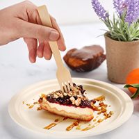 170mm Umweltfreundliche Einweg-Bambusgabeln FSC LFGB FDA Zertifiziert Biologisch Abbaubares Dessert-Besteck für Partys