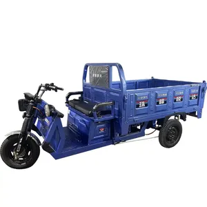 El mejor compartimento de carga Triciclos eléctricos Bicicleta de carga eléctrica Caja trasera Triciclo de carga con múltiples opciones de color en stock