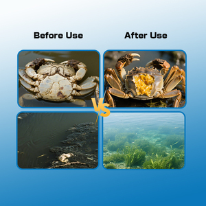 NaturalLiver+ Aquatic Additive - TCM Kruiden + Probiotica - Lever- en galblaasverzorging - Versterkt de immuniteit - Visgroeistimulator - Product Image 5