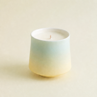 Ensemble cadeau de bougies parfumées à la cire de soja pour la décoration de la maison, parfum longue durée, mèche en coton, bougie d'aromathérapie