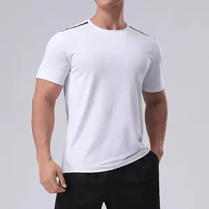 2024 180 gsm büyük boy buz ipek dikişsiz çabuk kuru kısa kollu T-shirt erkekler yaz yuvarlak boyun gençlik spor tekli düz renk