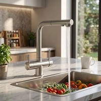 Robinet de cuisine moderne en acier inoxydable 304 nickel brossé avec douchette extractible