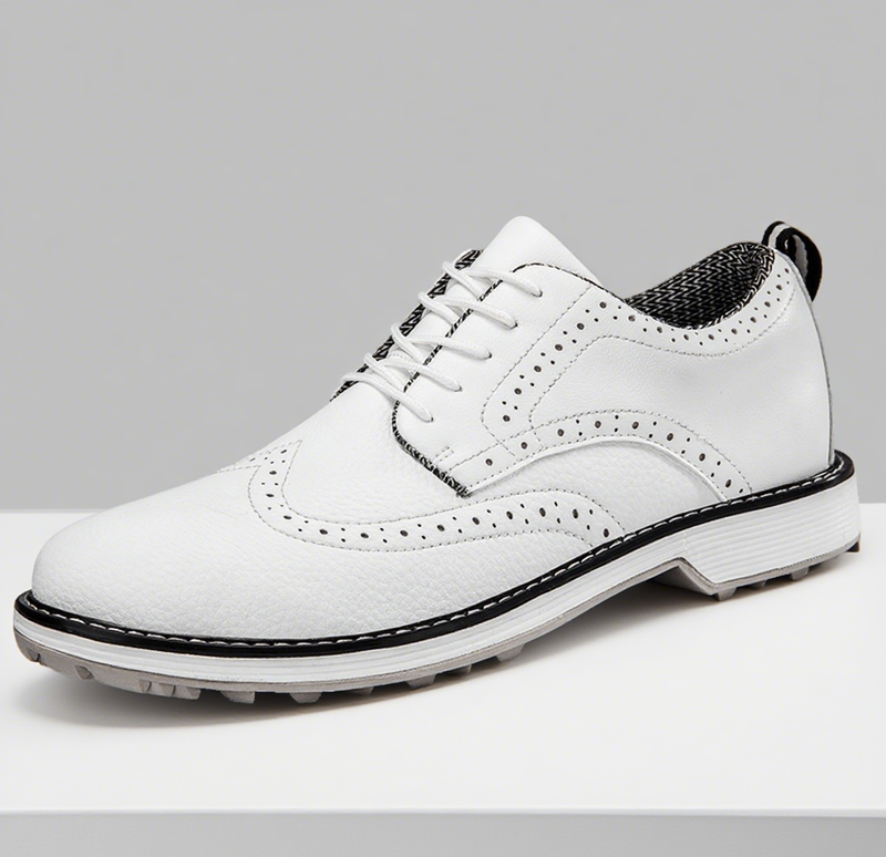Men s Professional Golf Shoes Anti