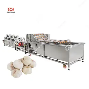 Hot Sale Wash Pressure Washer Clean Line Garlic Washing Equipment Fruit Wax Coating Machine