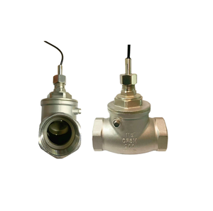 Interrupteur de débit à flotteur SUS304 DN50 FS-3S-50-16SS Double filetage femelle RC 2 pouces 15L/min 10W 1A Capteur de débit de liquide pour eau et huile - Product Image 1