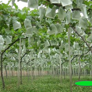Garden Fruit Protection <b>Mesh</b> Bags Drawstring Anti-Bird <b>Insect</b> Netting for Grape & Small Fruits - Product Image 6