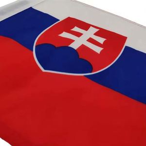 Wholesale Double Sided Printing Design 30x45cm Window Custom Car <b>Flag</b> with Plastic Pole - Product Image 2