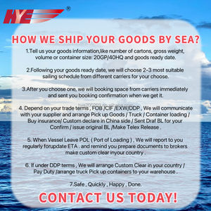 Envío Exprés Profesional FCL, Transporte Marítimo, Logística, Agente de Envío, Envío DDP, China, América Latina, 40GP/20GP - Product Image 6