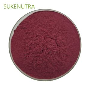 Poudre d'extrait de myrtille de haute qualité <span class=keywords><strong>25</strong></span>% anthocyanes pour complément alimentaire - Product Image 4