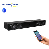 Système de sonorisation AK100 PA Amplificateur de puissance Home Cinéma Haut-parleurs Hi-Fi KTV Amplificateur de microphone sans fil