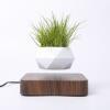 Vaso per Piante a Levitazione Magnetica, Fioriera Bonsai Fluttuante, Ornamento Creativo Sospeso per Decorazione di Stanze, Uffici e Scrivanie - Product Image 2