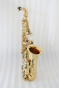 Haute Performance #   <span class=keywords><strong>Saxophone</strong></span> alto en Mi bémol avec repose-pouce réglable pour droitier, ressorts bleus, corps en laiton OEM, laqué or - Product Image 4